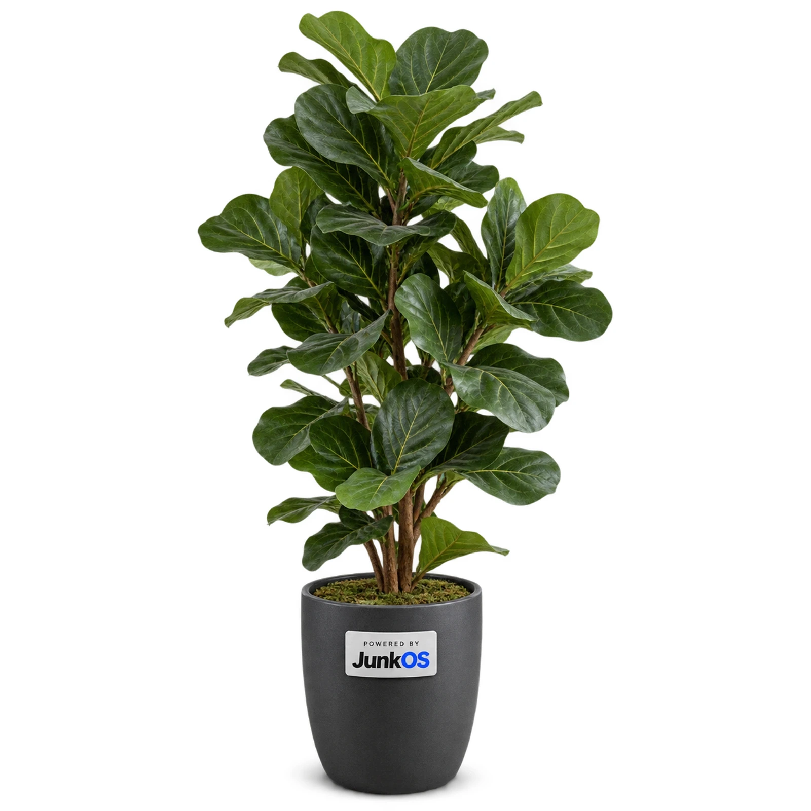 Large Artificial Plant / Tree
