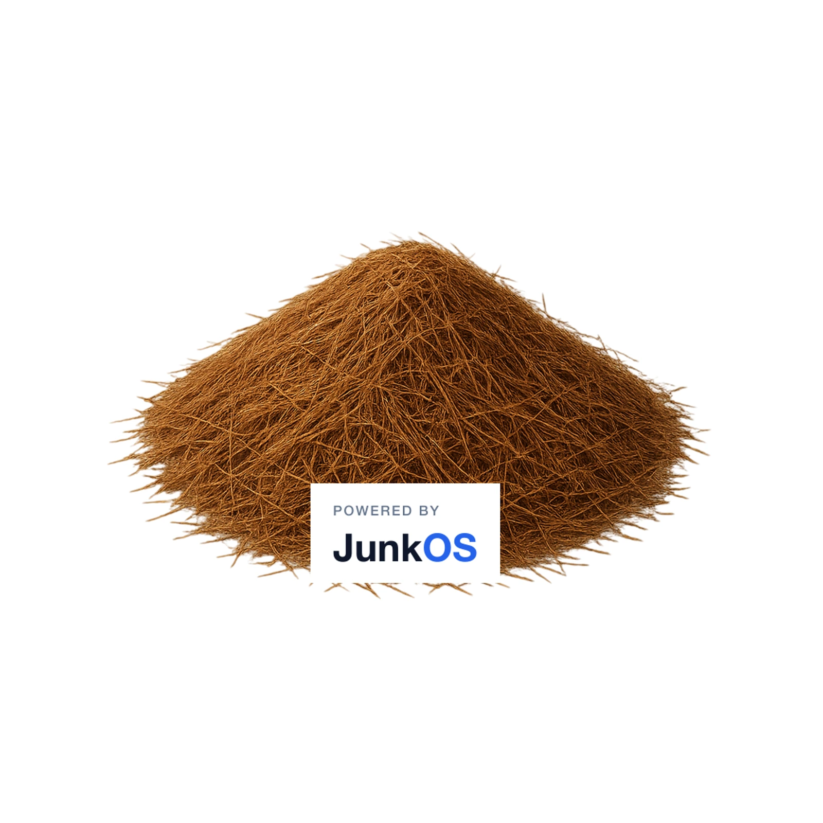 Pine Needles