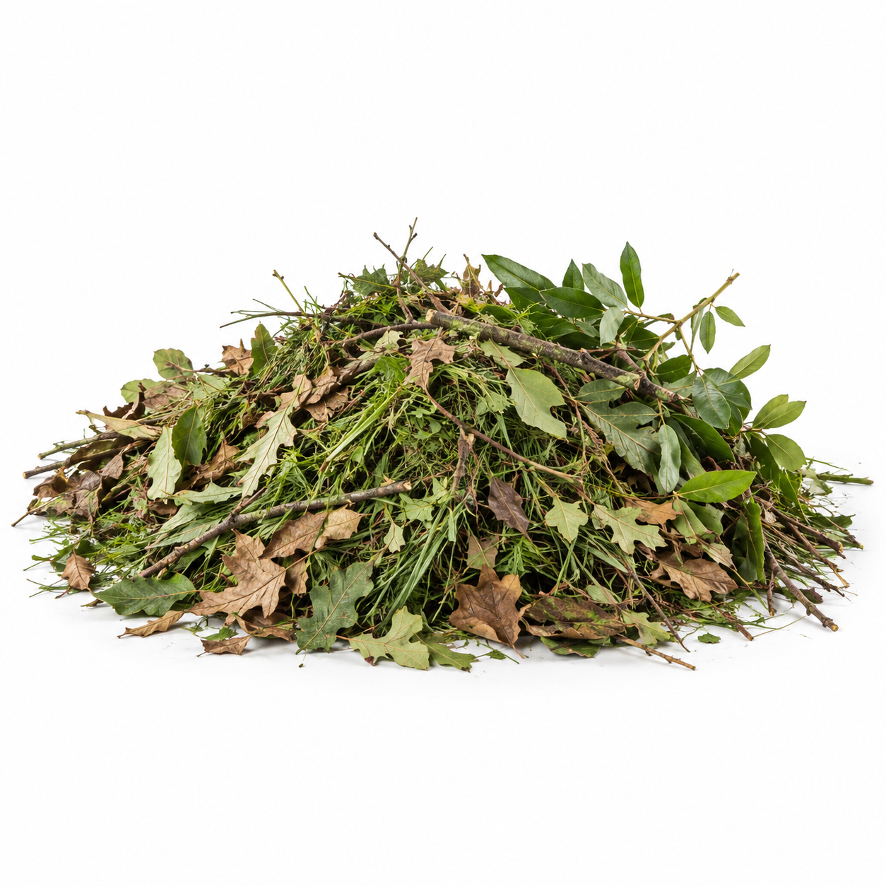 Yard Debris — Loose Green Waste